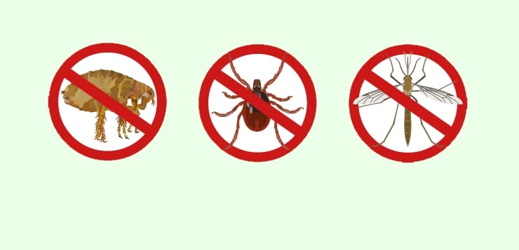 Floh, Zecke und Mücke auf verboten-Schildern