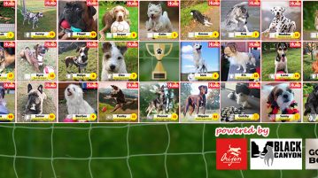 Unser DER HUND-WM-Team steht!
