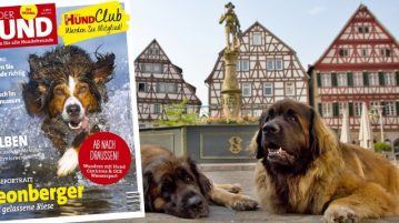 Aktuell: DER HUND Ausgabe 09/2018