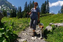 Wandern mit Hund – die schönsten Regionen und nützliche Tipps Frau und Hund wandern gemeinsam
