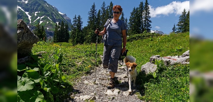 Frau und Hund wandern gemeinsam