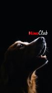 DH_Club_Smart_3_2250x4000 DH_Club_Smart_3_2250x4000