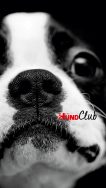 DH_Club_Smart_6_2250x4000 DH_Club_Smart_6_2250x4000