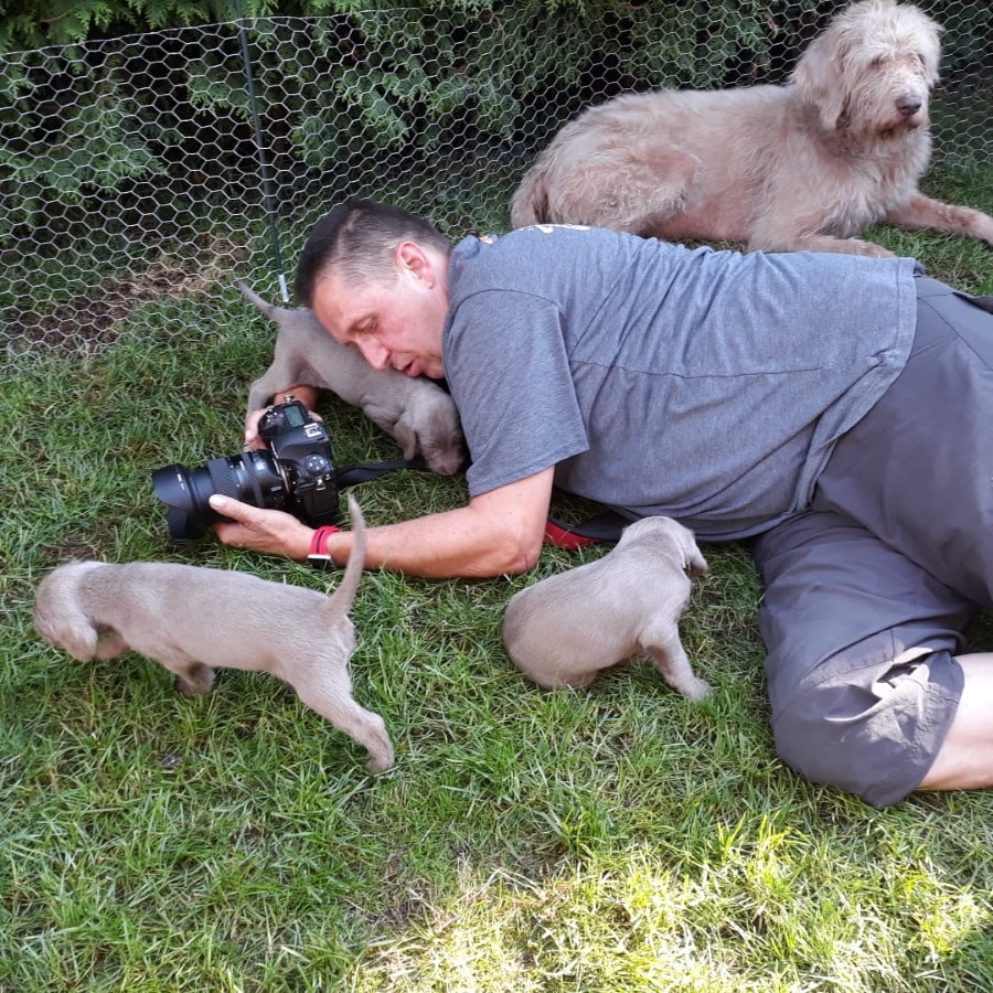 Person liegt mit Kamera auf der Wiese, während mehrere Welpen neugierig um sie herumtapsen, Hündin wacht daneben