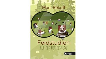Feldstudien auf der Hundewiese von Marc Bekoff