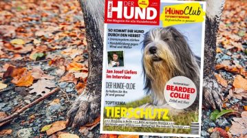 Seit dem 2. Oktober am Kiosk: Ausgabe 11/18 Magazin DER HUND, Cover der Ausgabe 11/18
