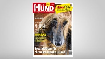 DER HUND AUSGABE 10/2018