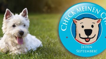 10. – 14. September: Lasse den Chip deines Haustiers checken Aktion Check meinen Chip