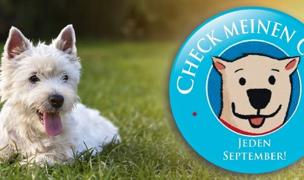 10. – 14. September: Lasse den Chip deines Haustiers checken Aktion Check meinen Chip