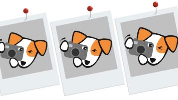 Großer Fotowettbewerb: Mache mit und gewinne! Illustration eines Hundes, der ein Foto schießt