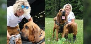 Alexandra Grunow vom K-9 Suchhundezentrum mit ihrem Bloodhound Hitchcock