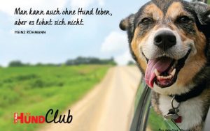 DHClub_eCards_580x400px_BN1 DHClub_eCards_580x400px_BN1