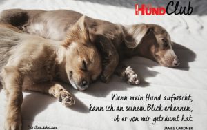 DHClub_eCards_580x400px_BN10 DHClub_eCards_580x400px_BN10