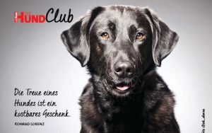 DHClub_eCards_580x400px_BN11 DHClub_eCards_580x400px_BN11