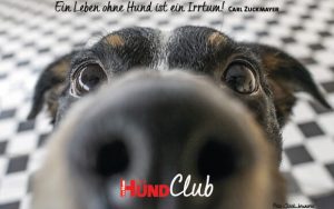 DHClub_eCards_580x400px_BN2 DHClub_eCards_580x400px_BN2
