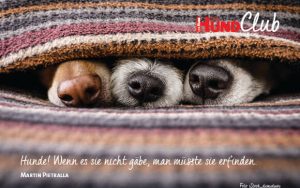 DHClub_eCards_580x400px_BN3 DHClub_eCards_580x400px_BN3