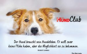 DHClub_eCards_580x400px_BN6 DHClub_eCards_580x400px_BN6