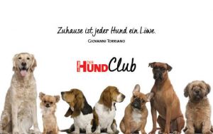 DHClub_eCards_580x400px_BN7 DHClub_eCards_580x400px_BN7