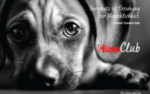 DHClub_eCards_580x400px_BN8 DHClub_eCards_580x400px_BN8