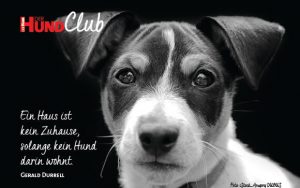 DHClub_eCards_580x400px_BN9 DHClub_eCards_580x400px_BN9