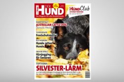 Cover DER HUND Ausgabe 12/2018