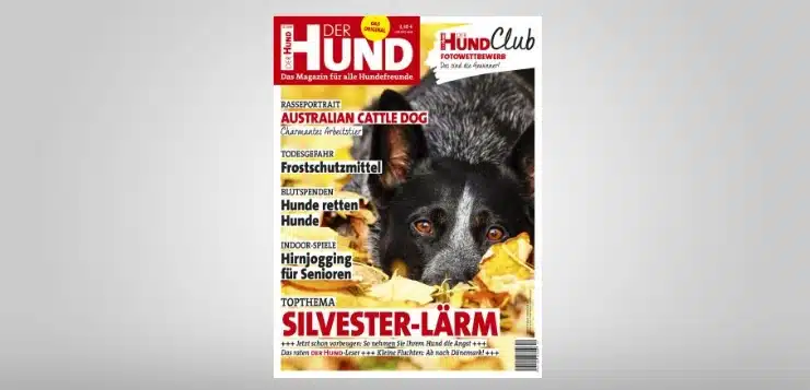 Cover DER HUND Ausgabe 12/2018