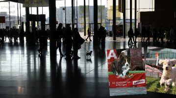 Das war die Messe Animal: flotte Flitzer und (mutige) Wasserratten Eingangsbereich der Messe Stuttgart