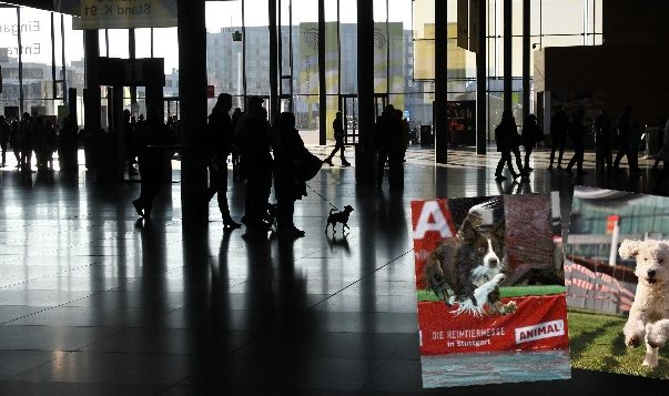 Das war die Messe Animal: flotte Flitzer und (mutige) Wasserratten Eingangsbereich der Messe Stuttgart