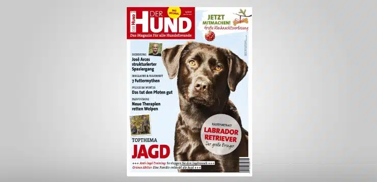 DER HUND, Cover Ausgabe 01/2019