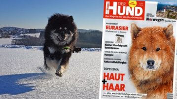 Ab dem 2. Januar am Kiosk: Ausgabe 02/19