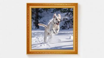 Ihr habt gewählt: Gewinner-Foto November