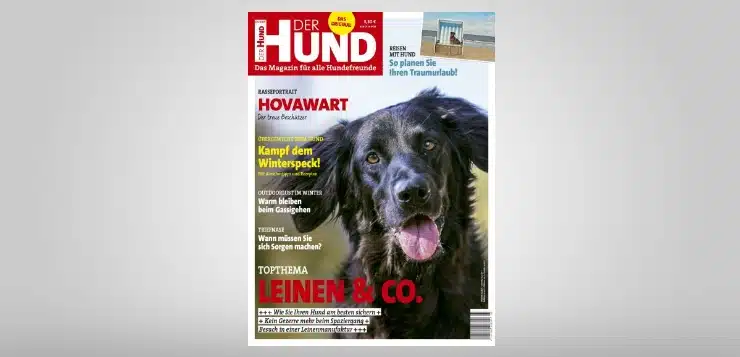 Ausgabe 3/19 von DER HUND