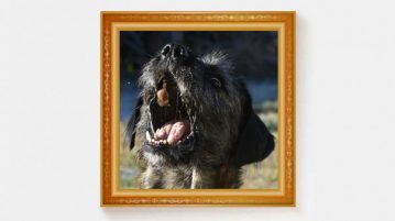 Ihr habt gewählt: Gewinner-Foto Dezember