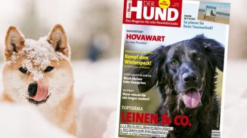DER HUND AUSGABE 03/2019 Ausgabe 3/19 von DER HUND