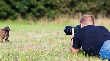 Der britische Kennel Club sucht die besten Hundefotos des Jahres – Macht doch mit! Person liegt auf Wiese und fotografiert Welpen