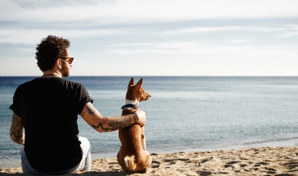 Sinkende Fruchtbarkeit bei Männern und Rüden Mann und Hund sitzen am Strand
