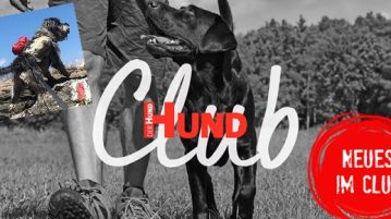 Neu im Club: Infos über Hundepacktaschen
