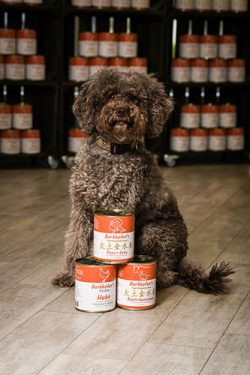 TDM_1501_WEB Ein Hund sitzt vor einem Regal Barkhofen Hundefutter