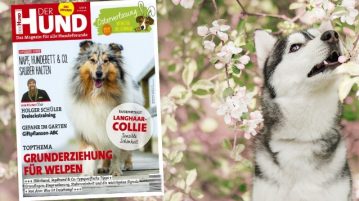Ausgabe 5/19 von DER HUND