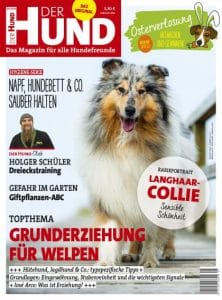 Cover von DER HUND Ausgabe 5/19