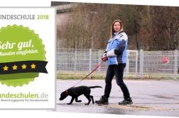 Mobile Hundeschule Hinterland