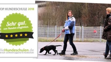 Mobile Hundeschule Hinterland