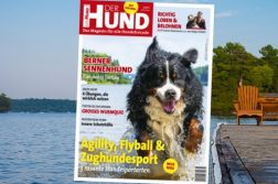 Cover von Der Hund 7/19 zeigt einen Berner Sennenhund im Wasser