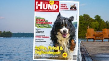Cover von Der Hund 7/19 zeigt einen Berner Sennenhund im Wasser