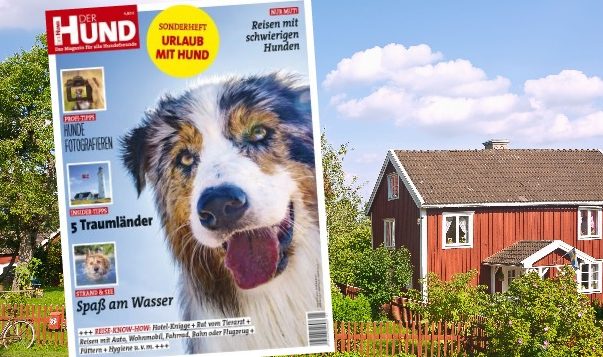 Unser Sonderheft “URLAUB MIT HUND” Cover des Sonderhefts "Urlaub mit Hund" von DER HUND