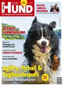 Das Cover von DER HUND 7/19 zeigt einen männlichen Berner Sennenhund im Wasser