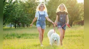 Zwillingsfrauen gehen mit Hund spazieren