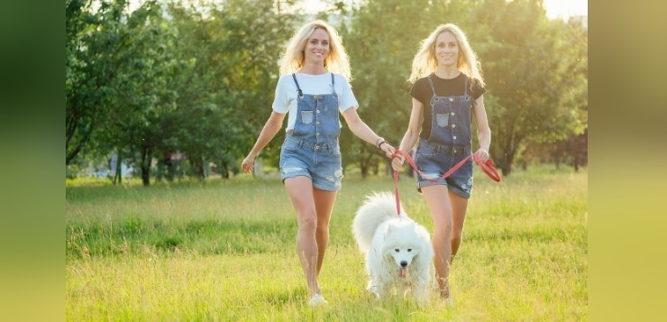 Zwillingsfrauen gehen mit Hund spazieren