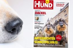 Cover der Ausgabe 8/19 von DER HUND