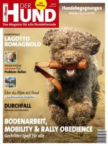 Cover DER HUND 9/19, ein brauner Lagotto läuft auf den Betrachter zu